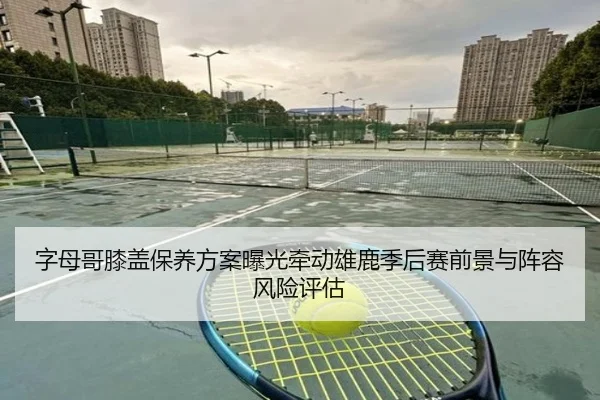 字母哥膝盖保养方案曝光牵动雄鹿季后赛前景与阵容风险评估（pg）
