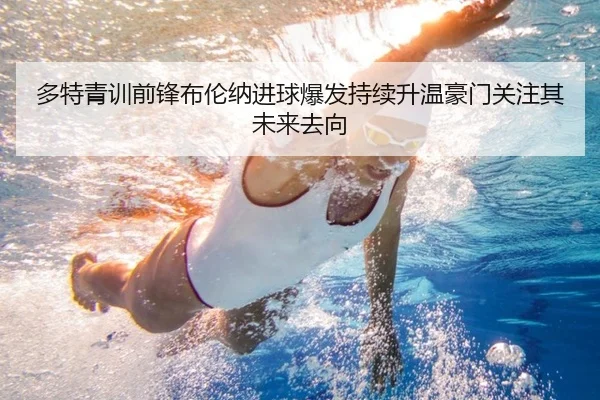 多特青训前锋布伦纳进球爆发持续升温豪门关注其未来去向（pg）